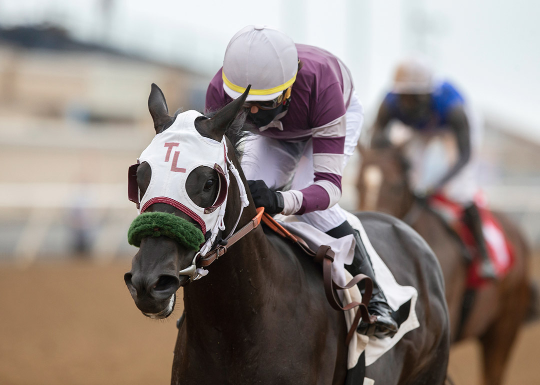 Governor Goteven wins the 2020 CTBA Stake at Del Mar