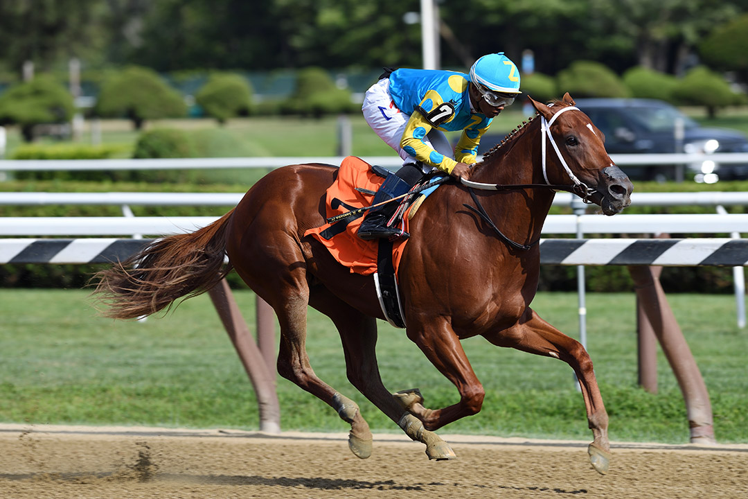Gozilla wins an August 2019 maiden race at Saratoga