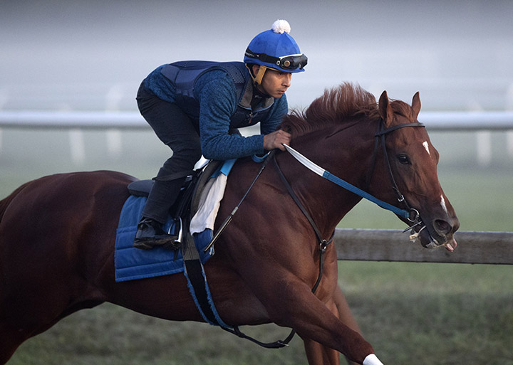 Gozilla trains at Saratoga Race Course on Aug. 26