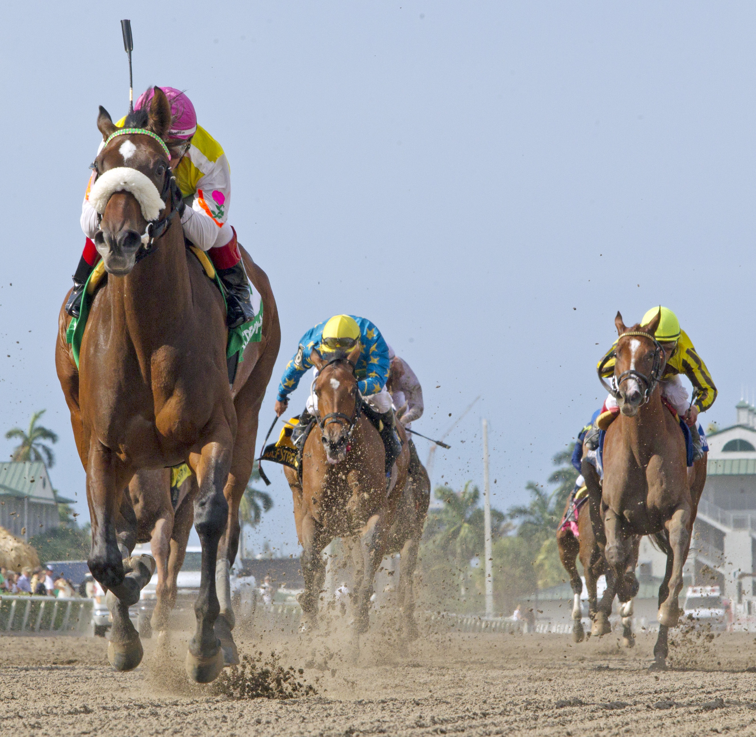 Grace Hall, Gulfstream Park Oaks