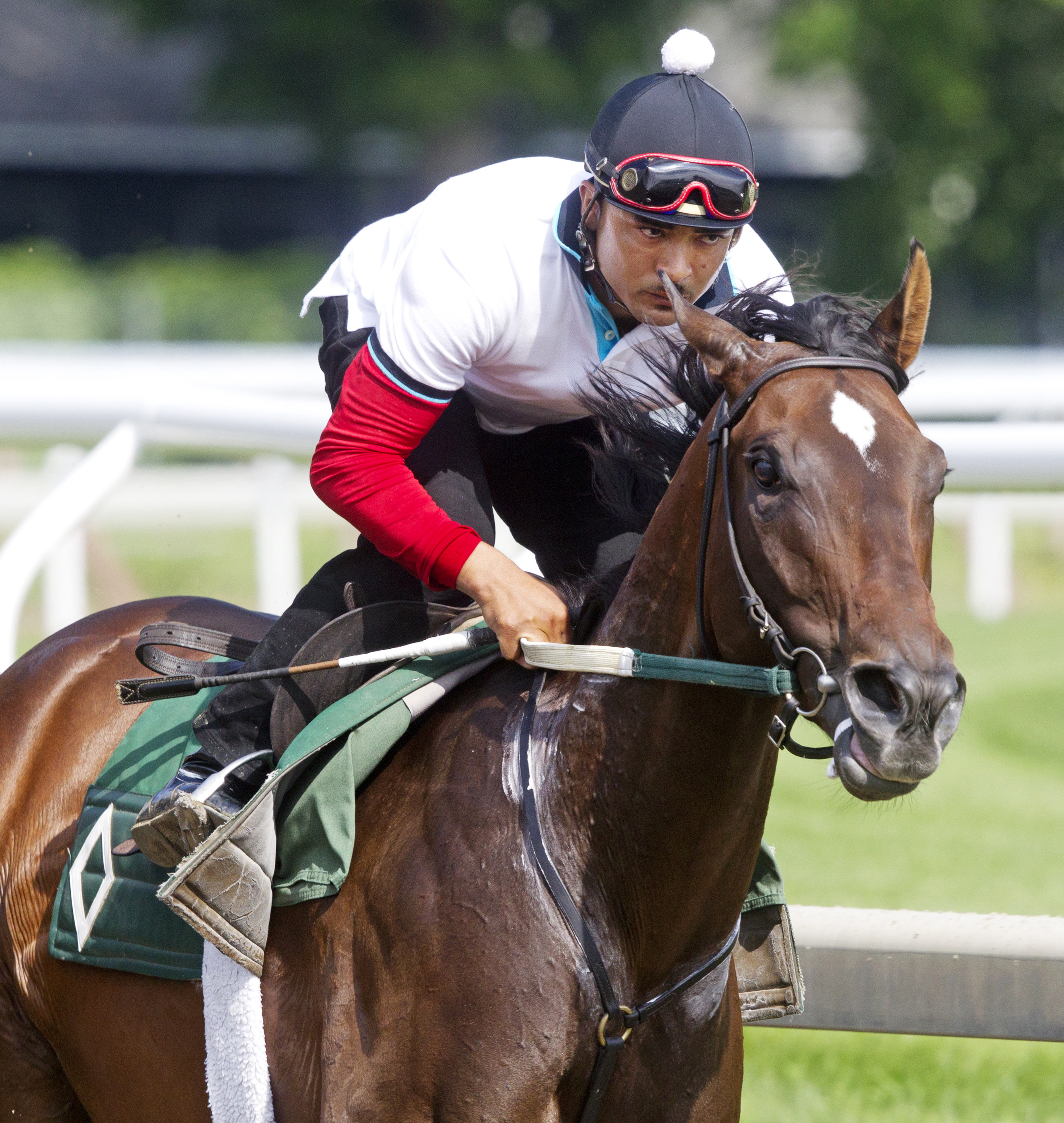 Grace Hall at Saratoga on July 14
