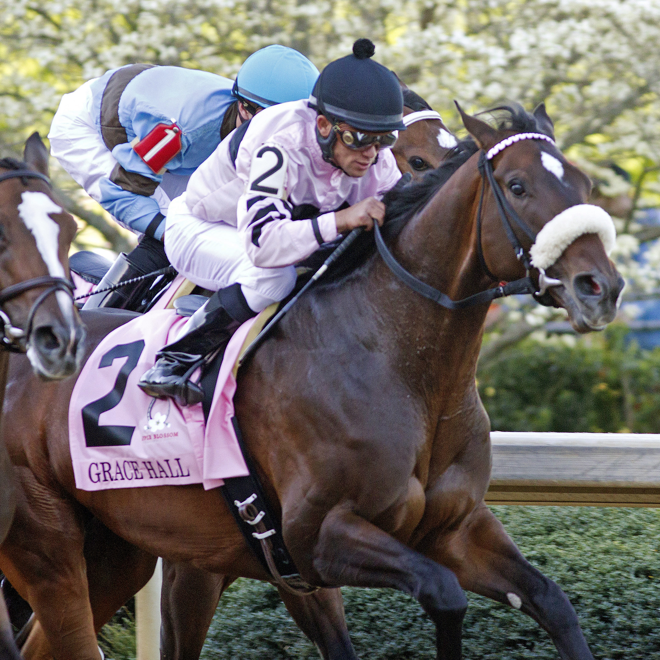 Grace Hall finishes seventh in the 2013 Apple Blossom