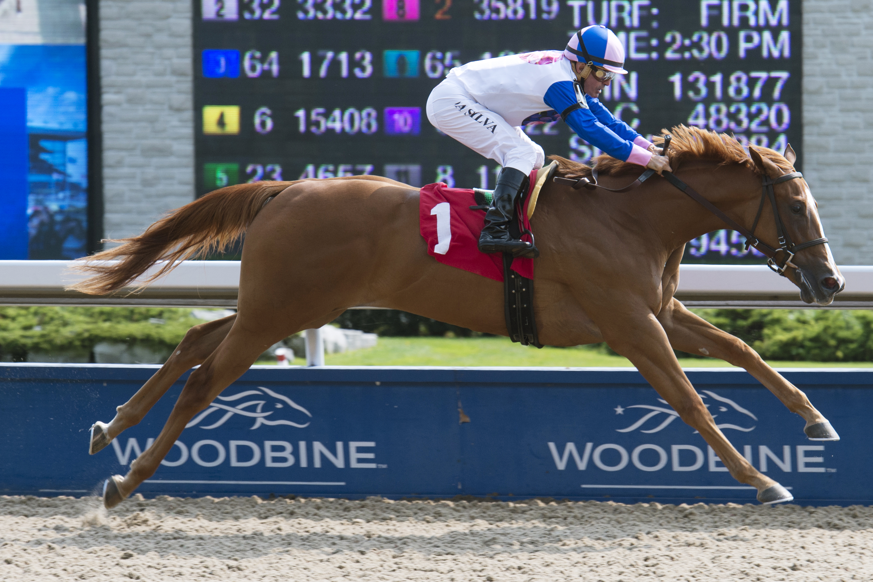 Grace and Dignity wins a Sept. 16 maiden race