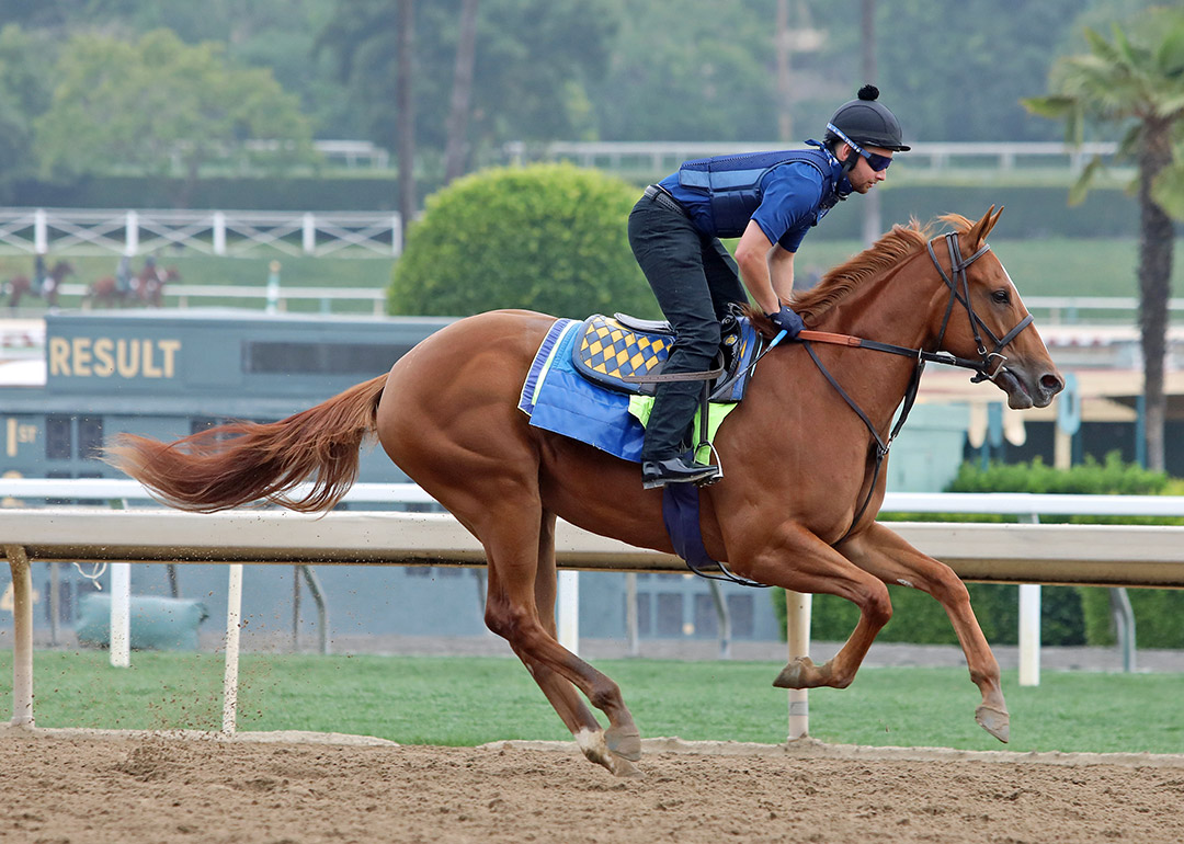 Grace Adler trains at Santa Anita Park on May 28