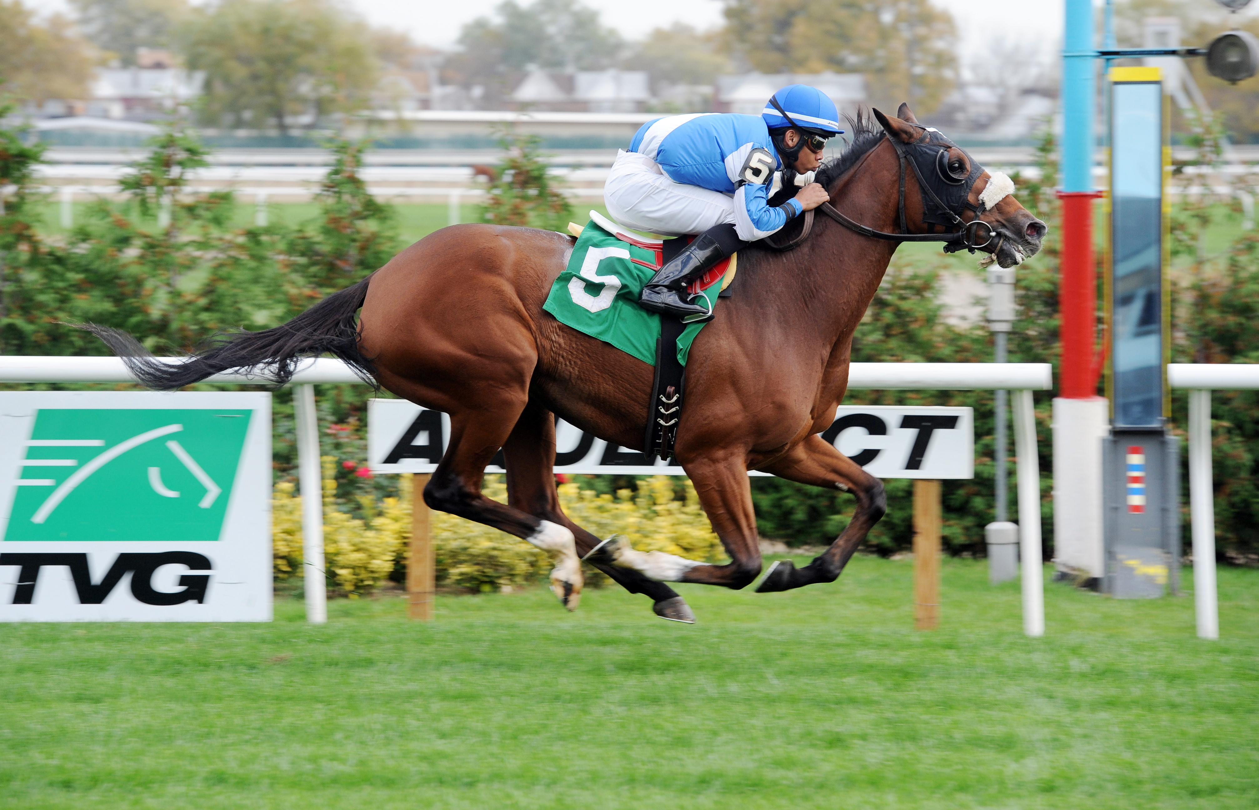 Graceful Gal wins a maiden race