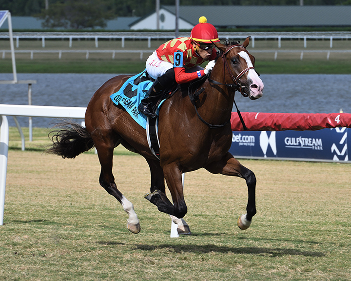 Graceful Kitten wins the 2019 Armed Forces Stakes at Gulfstream Park