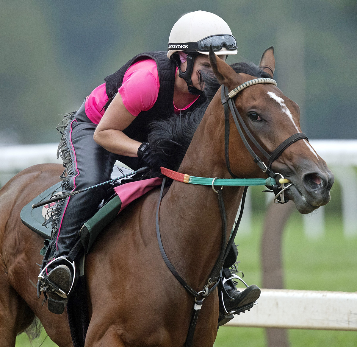 Graceful Princess trains at Saratoga on Aug. 13