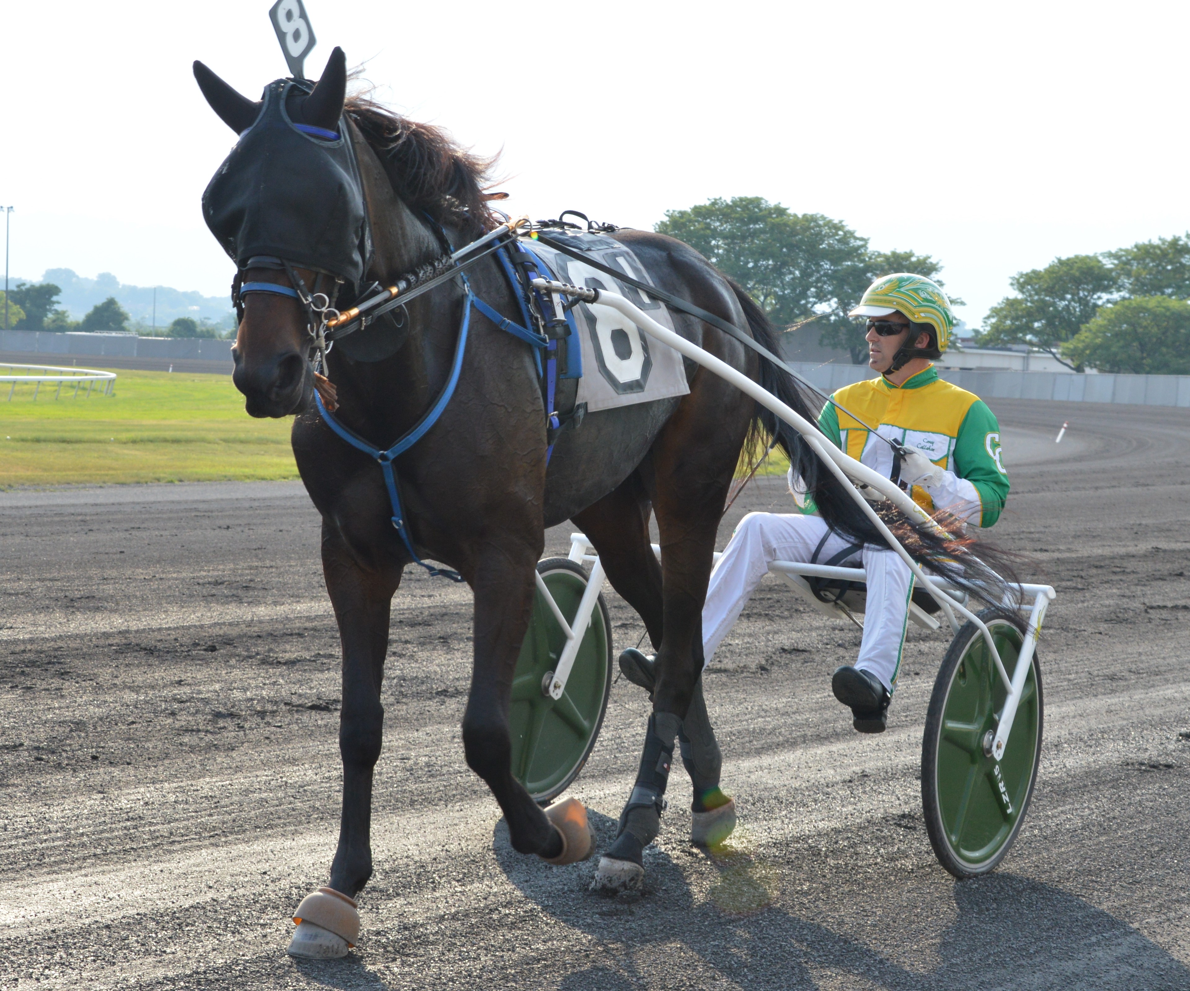 Gracelyn Hanover