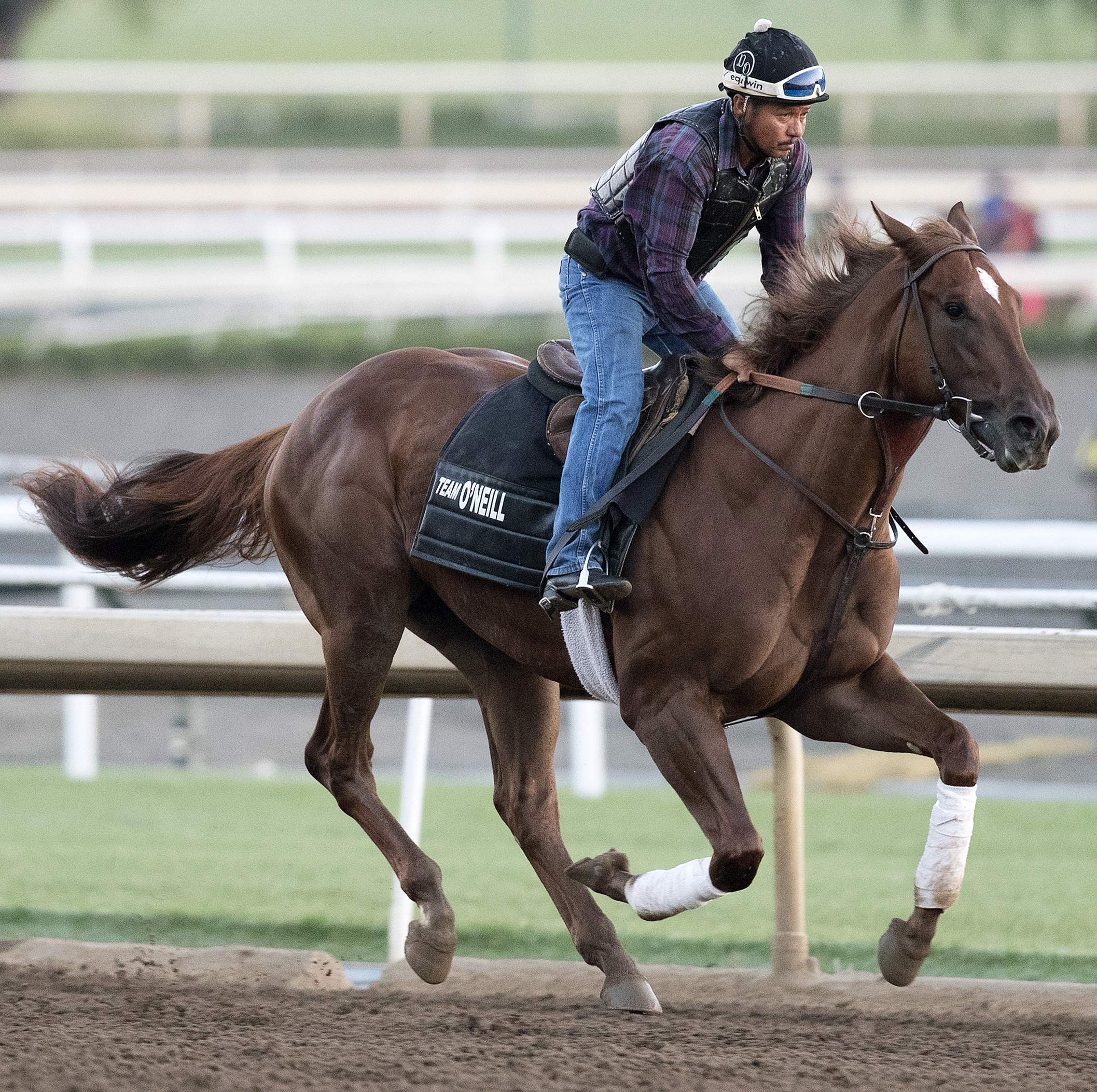 Gracida trains at Santa Anita on June 26, 2017