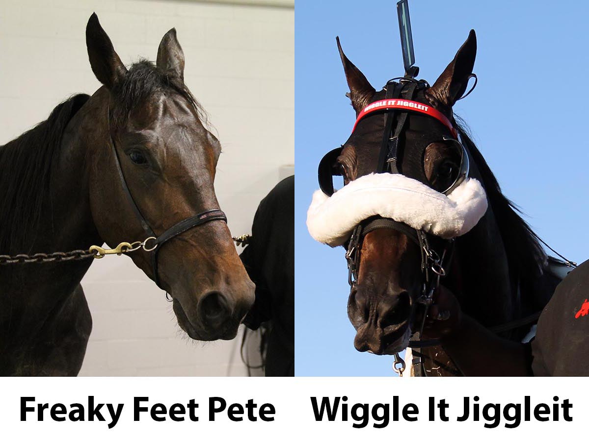 Freaky_Wiggle