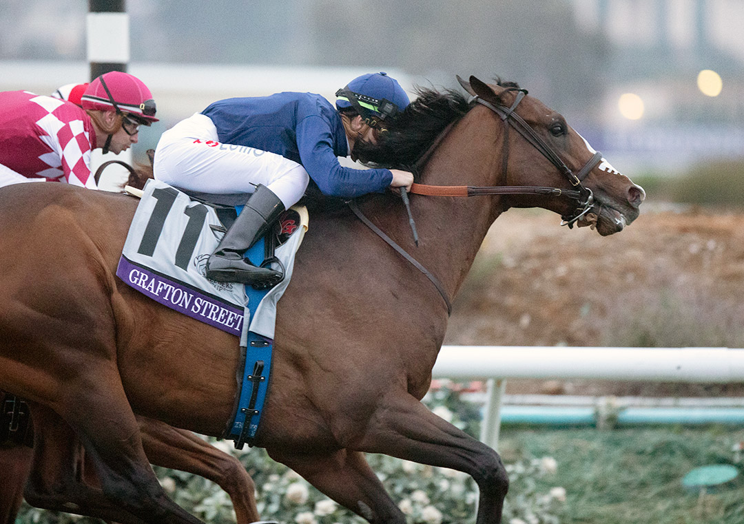 Grafton Street finishes fourth in the 2021 Breeders' Cup Juvenile Turf at Del Mar
