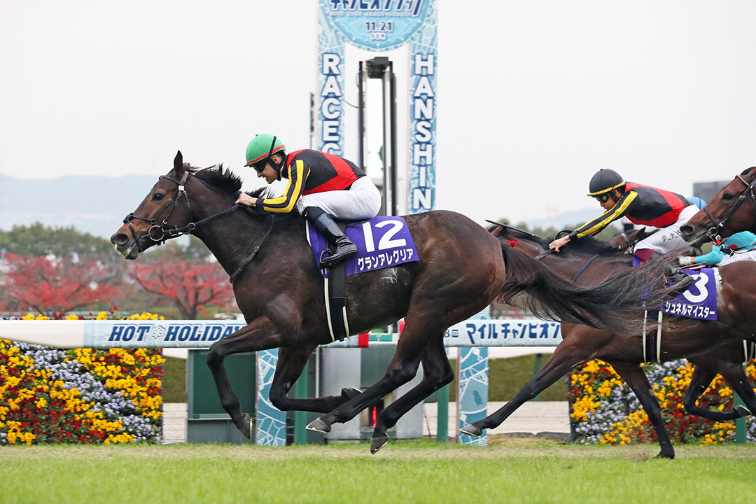 Gran Alegria wins 2021 Mile Championship at Hanshin Racecourse