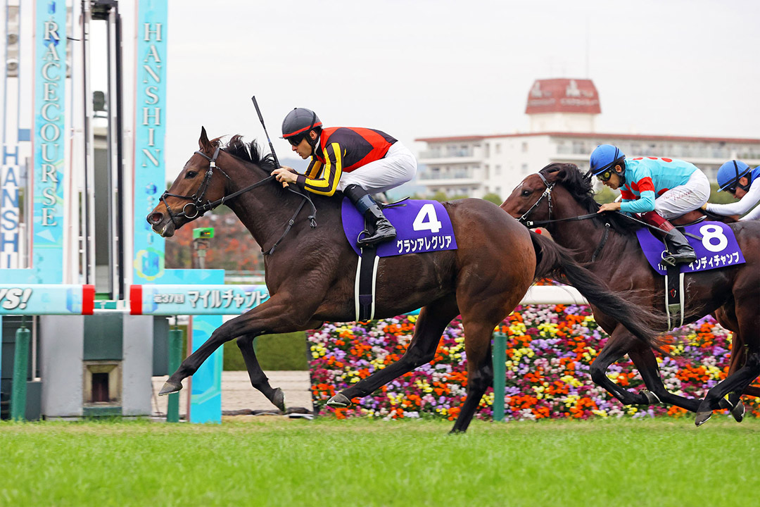 Gran Alegria wins the 2020 Mile Championship at Hanshin Racecourse