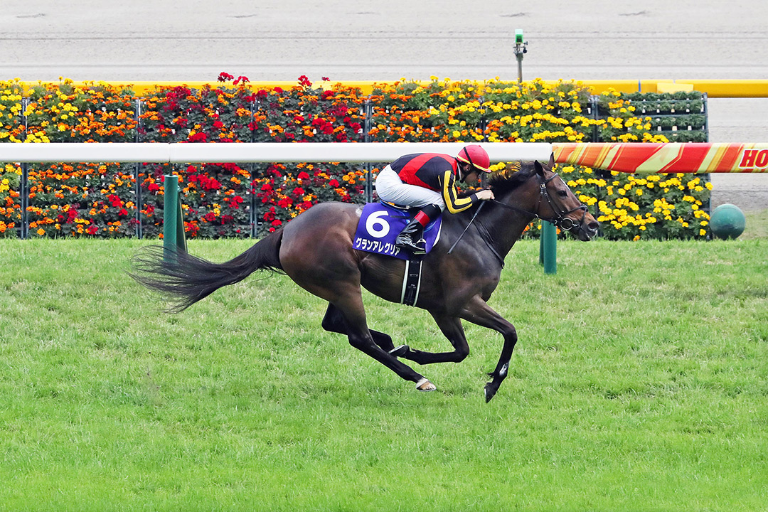Gran Alegria wins the 2021 Victoria Mile at Tokyo Racecourse
