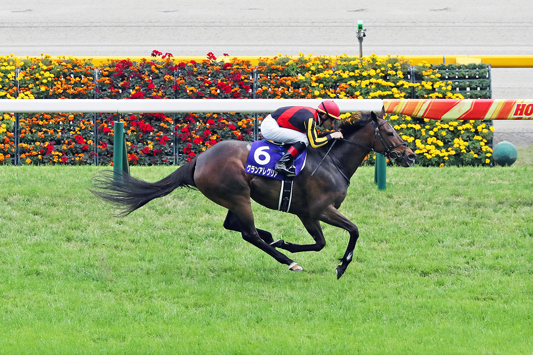 Gran Alegria wins the 2021 Victoria Mile at Tokyo Racecourse
