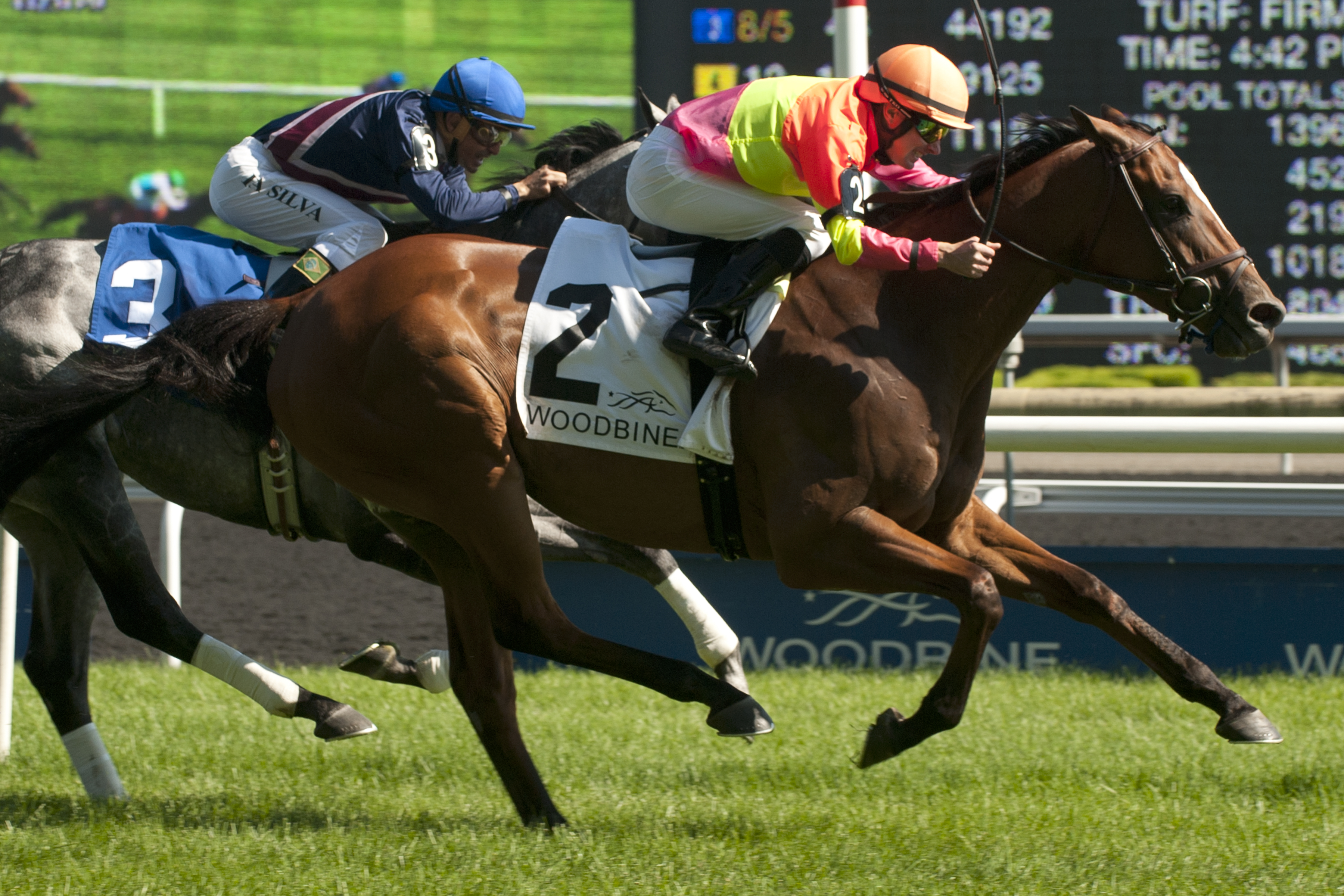 Grand Arch wins 2014 King Edward