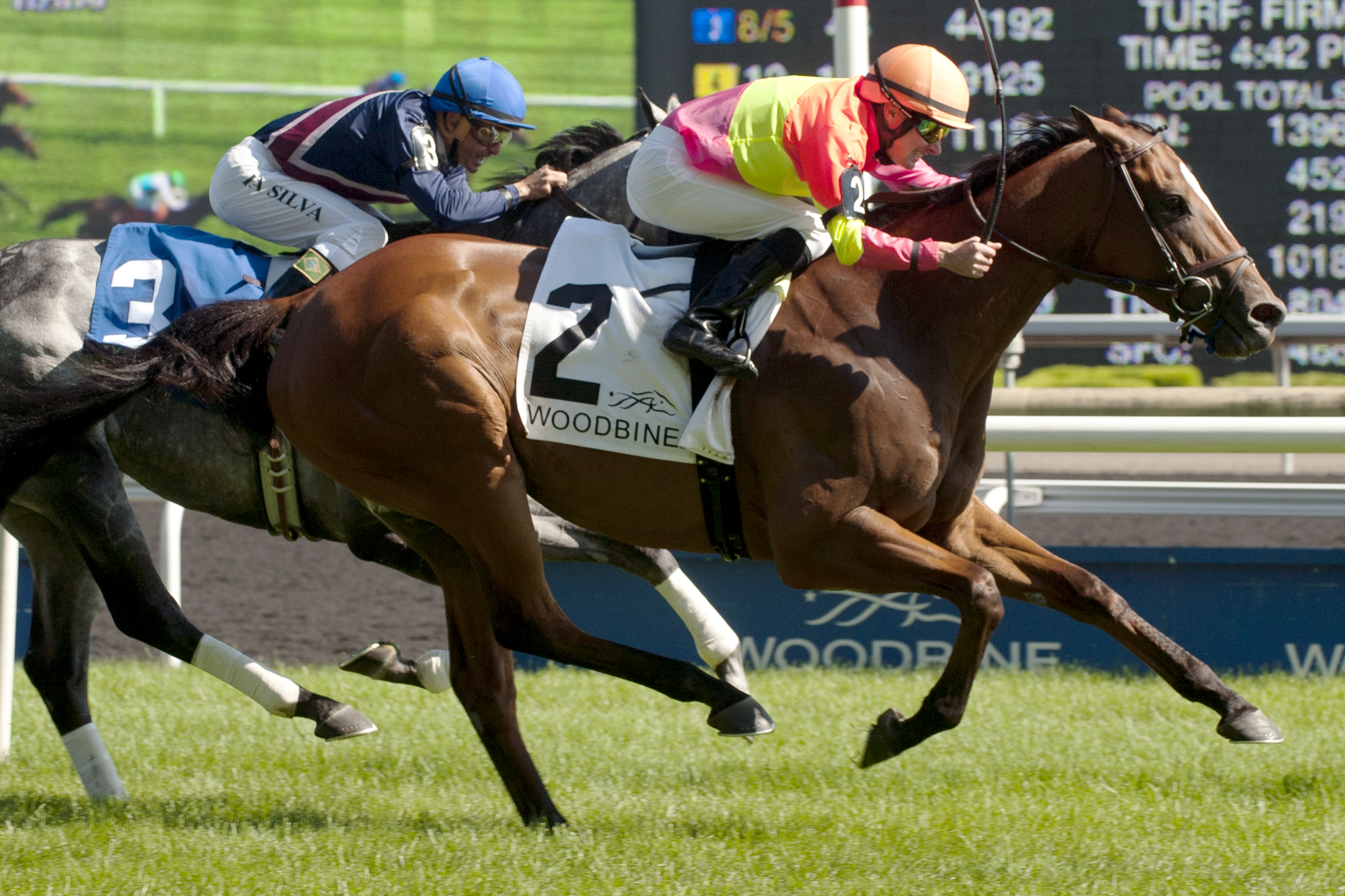 Grand Arch wins the King Edward