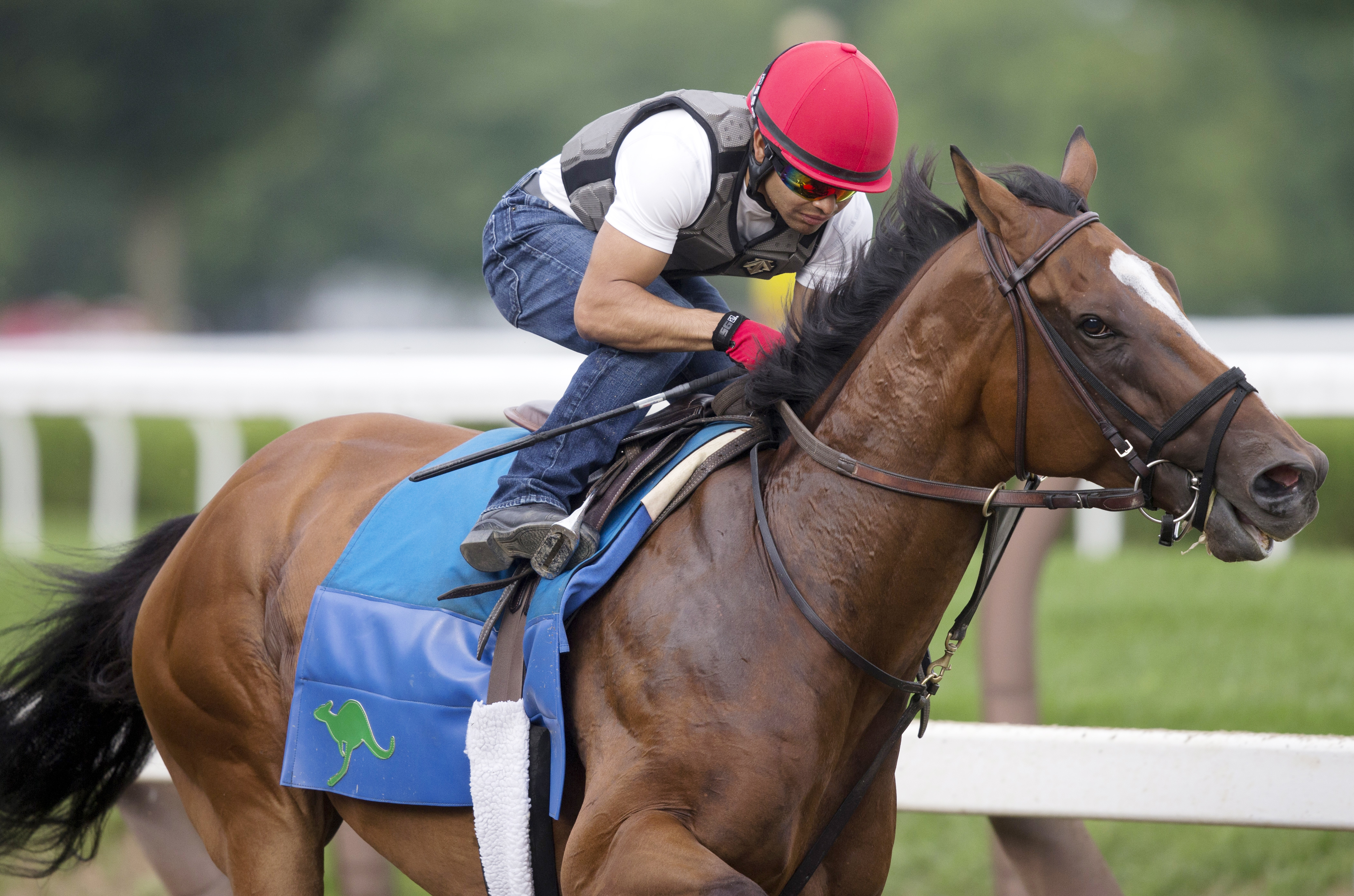 Grand Arch trains at Saratoga on Aug. 15