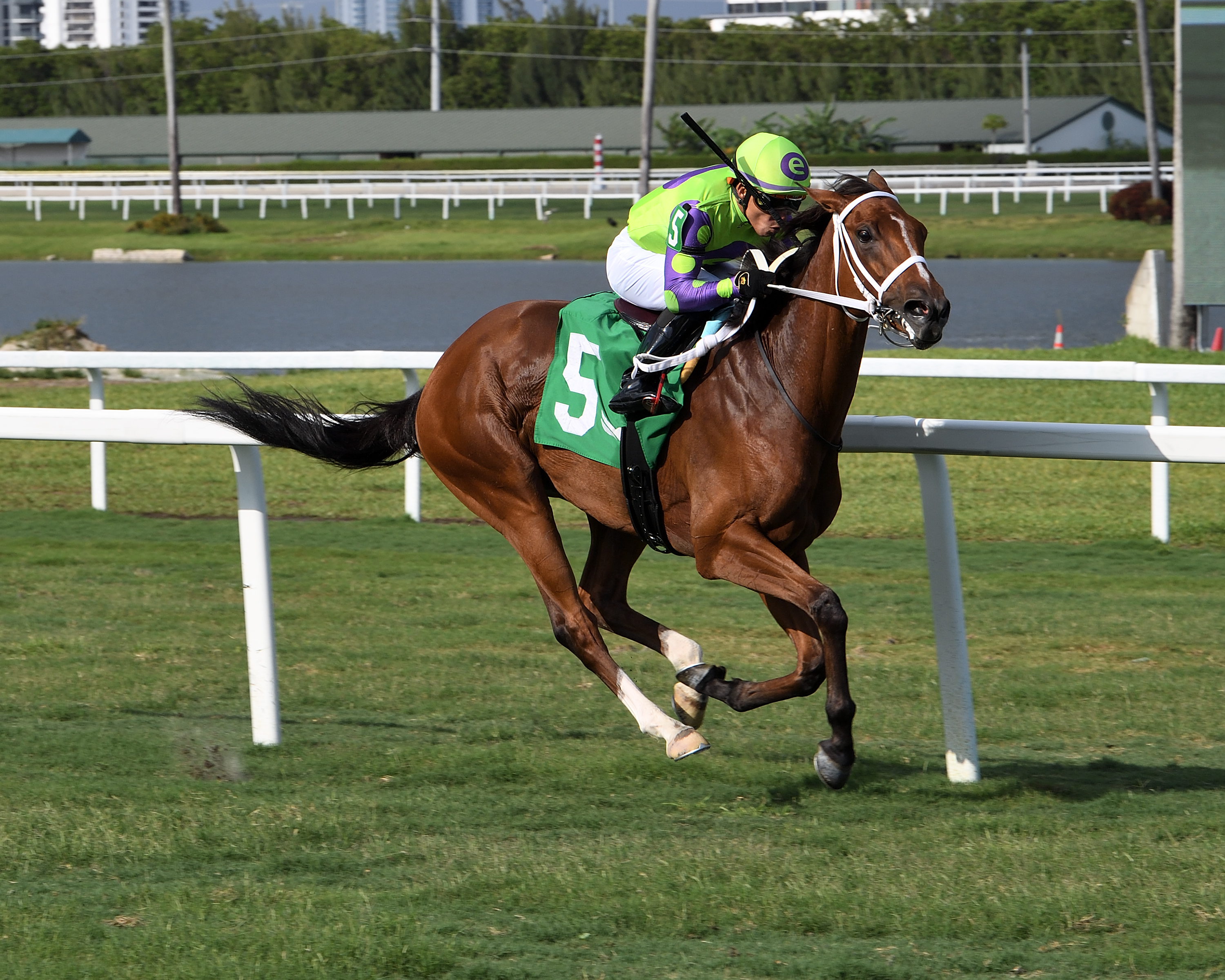 Grand Ave Girl wins the Monroe 5-8-2022