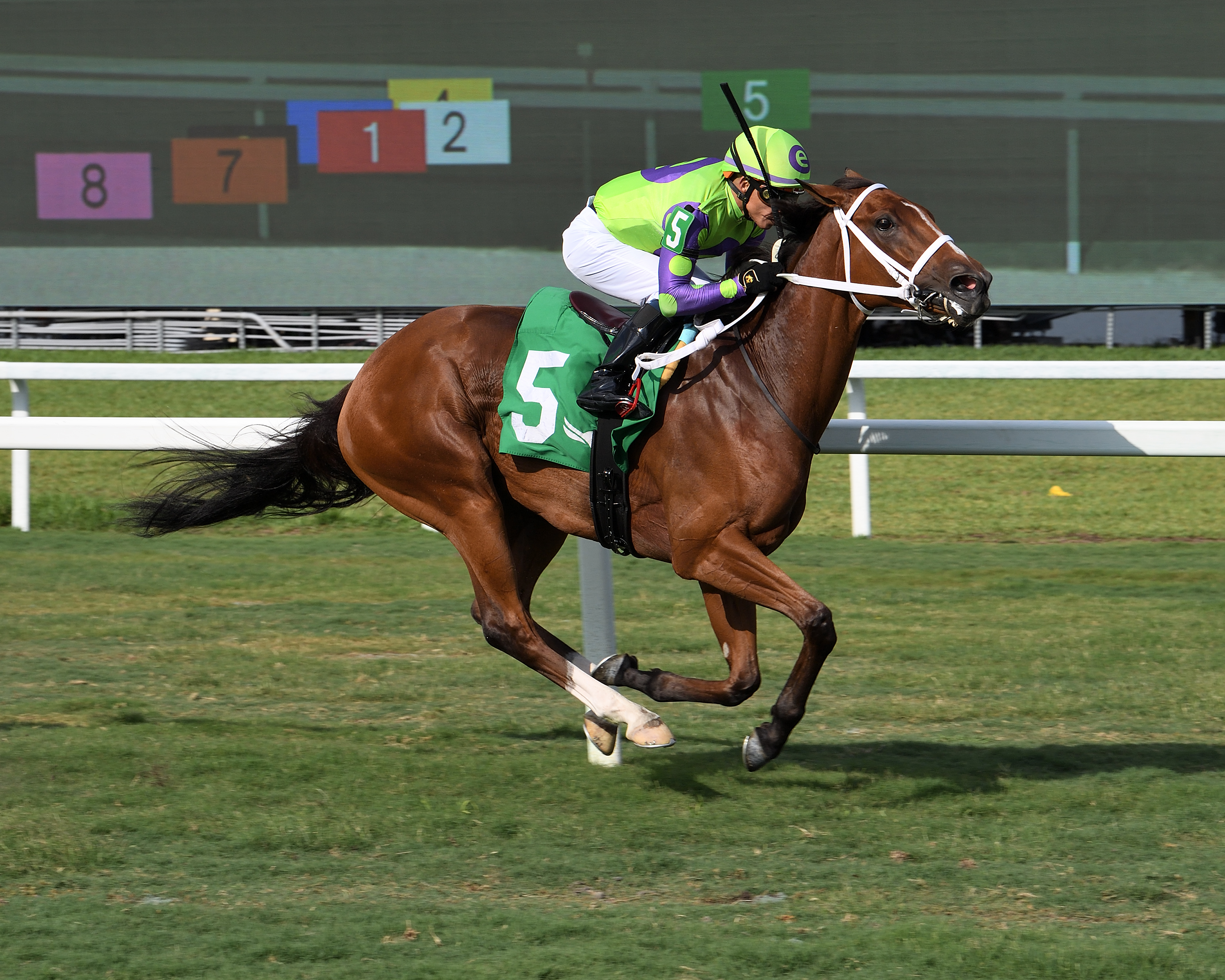 Grand Ave Girl wins the Monroe Stakes at Gulfstream on May 8 2022