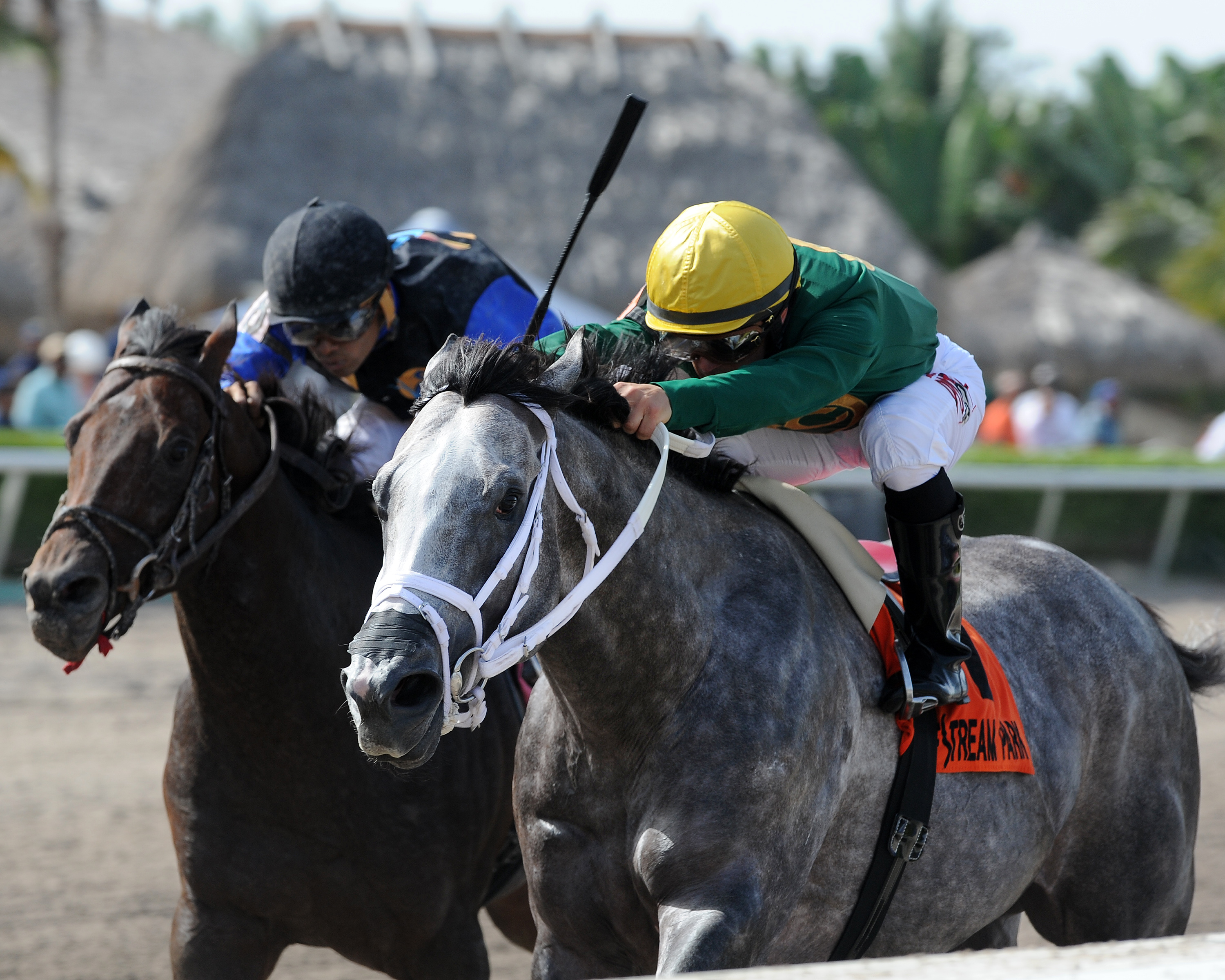 Grand Bili wins 2015 Carry Back