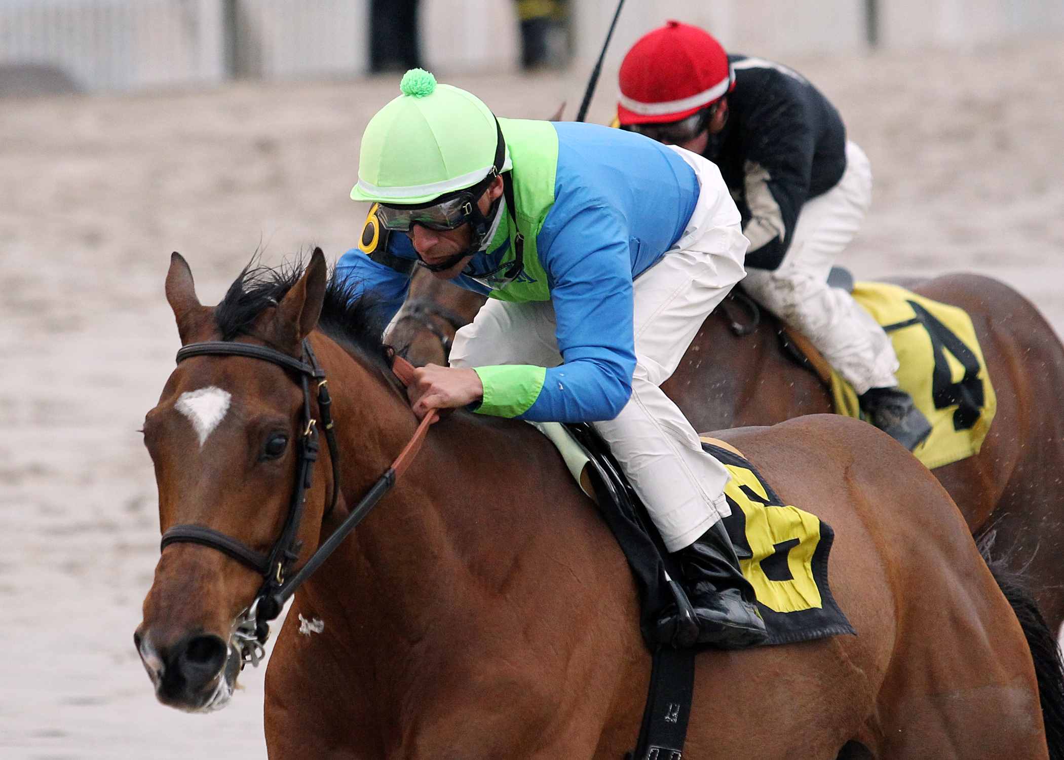Grand Contender wins the Buddy Diliberto Memorial Overnight Stakes