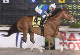 Grand Contender Borgata Stakes 3-15-14