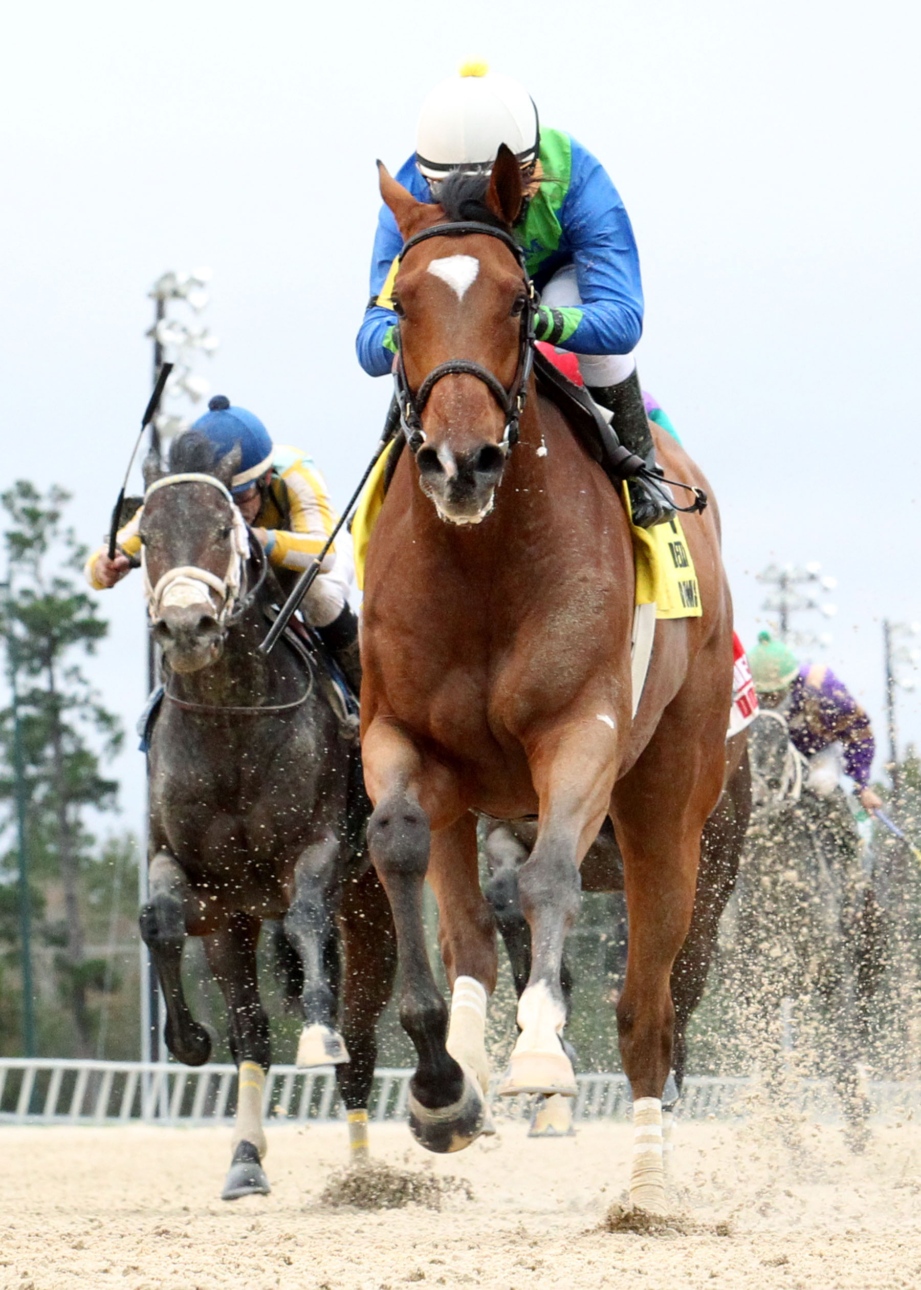 Grand Contender, Nov. 23, 2013