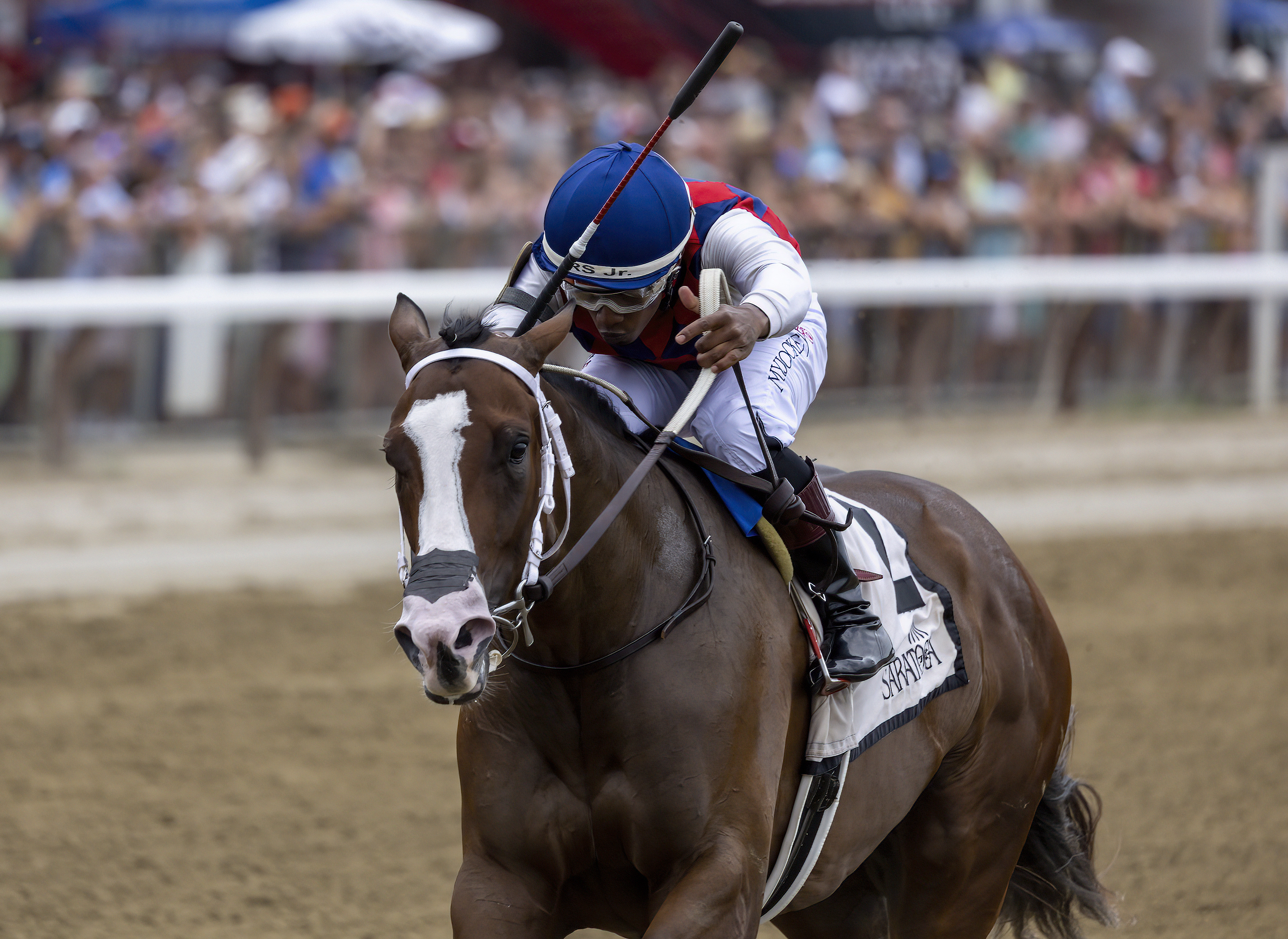 Grand Love/Saratoga maiden win