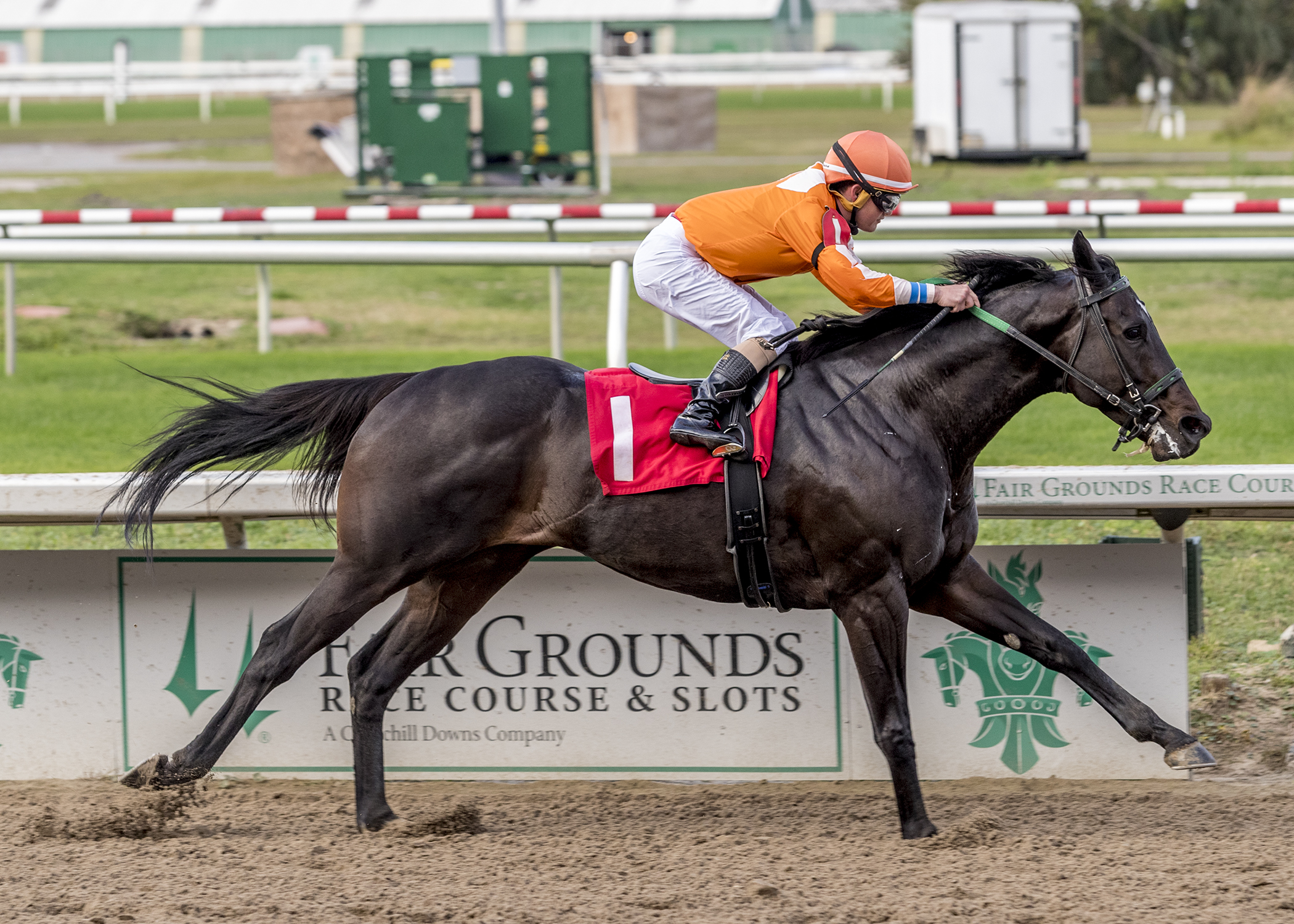 Grand Luwegee wins Louisiana Champions Day Classic 12-11-2021