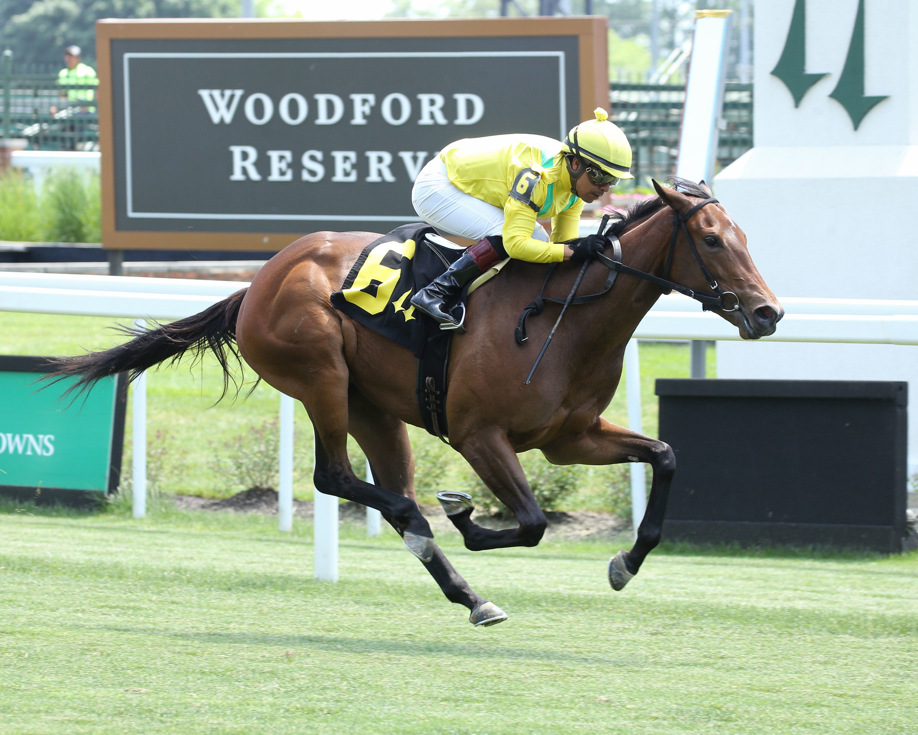 Grand Oak wins a Churchill maiden race May 20 2022