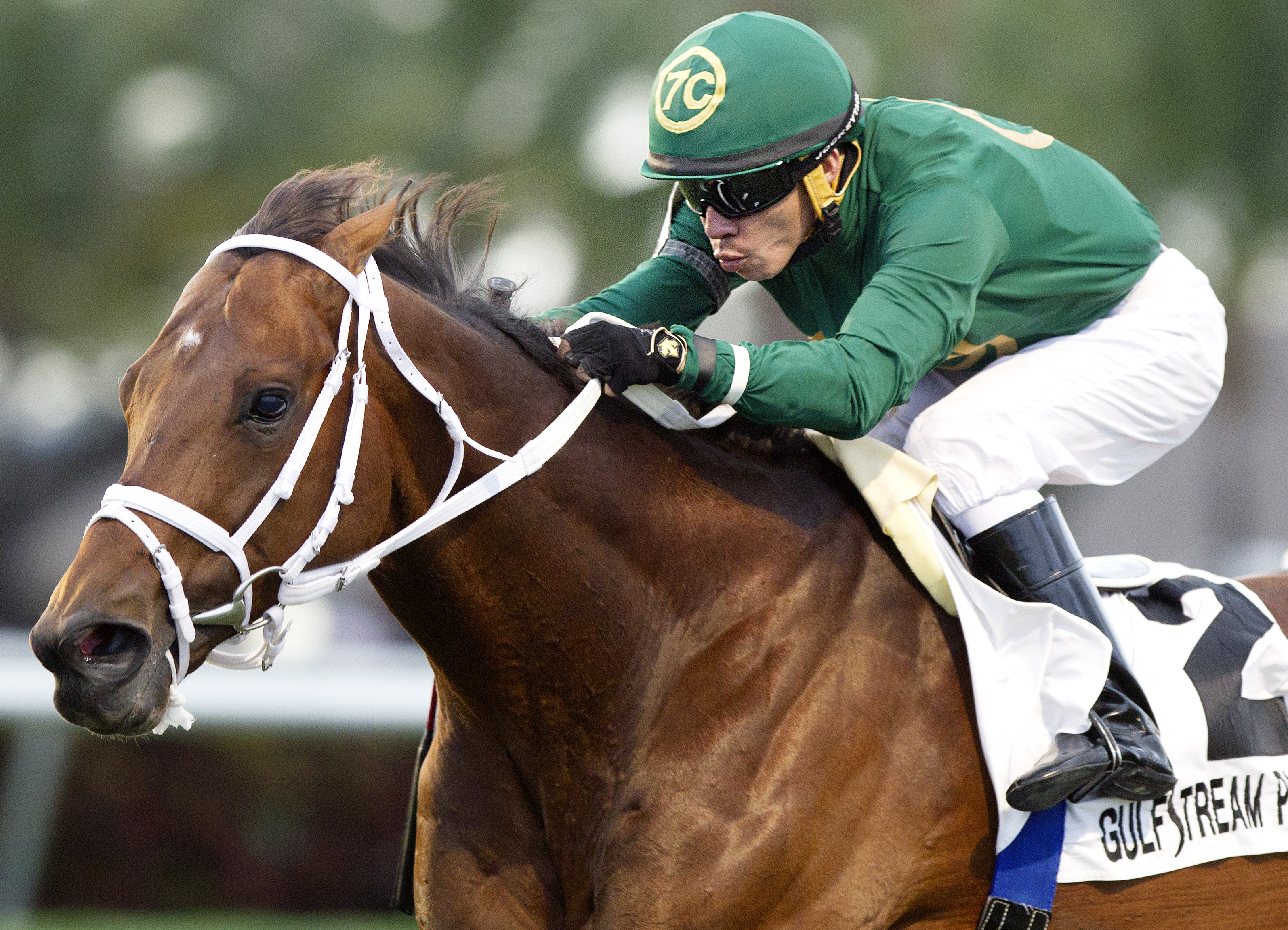 Grand Tito wins the Mac Diarmida