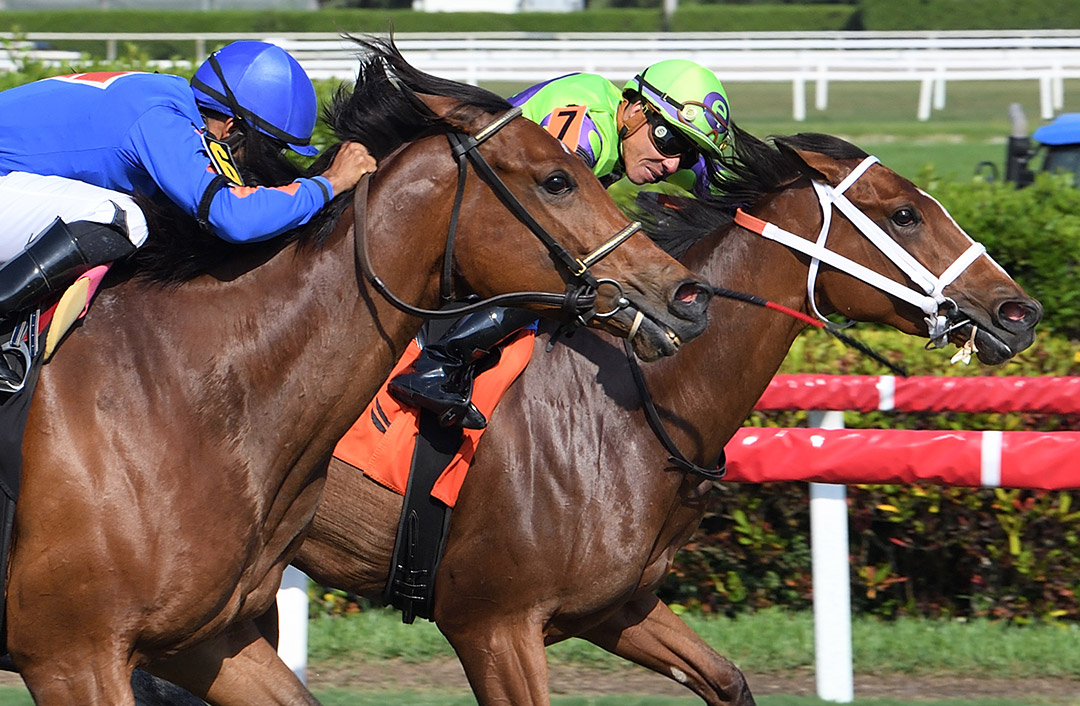 Grand Ave Girl (inside) beat Market Rumor to win a March 20 allowance at Gulfstream Park