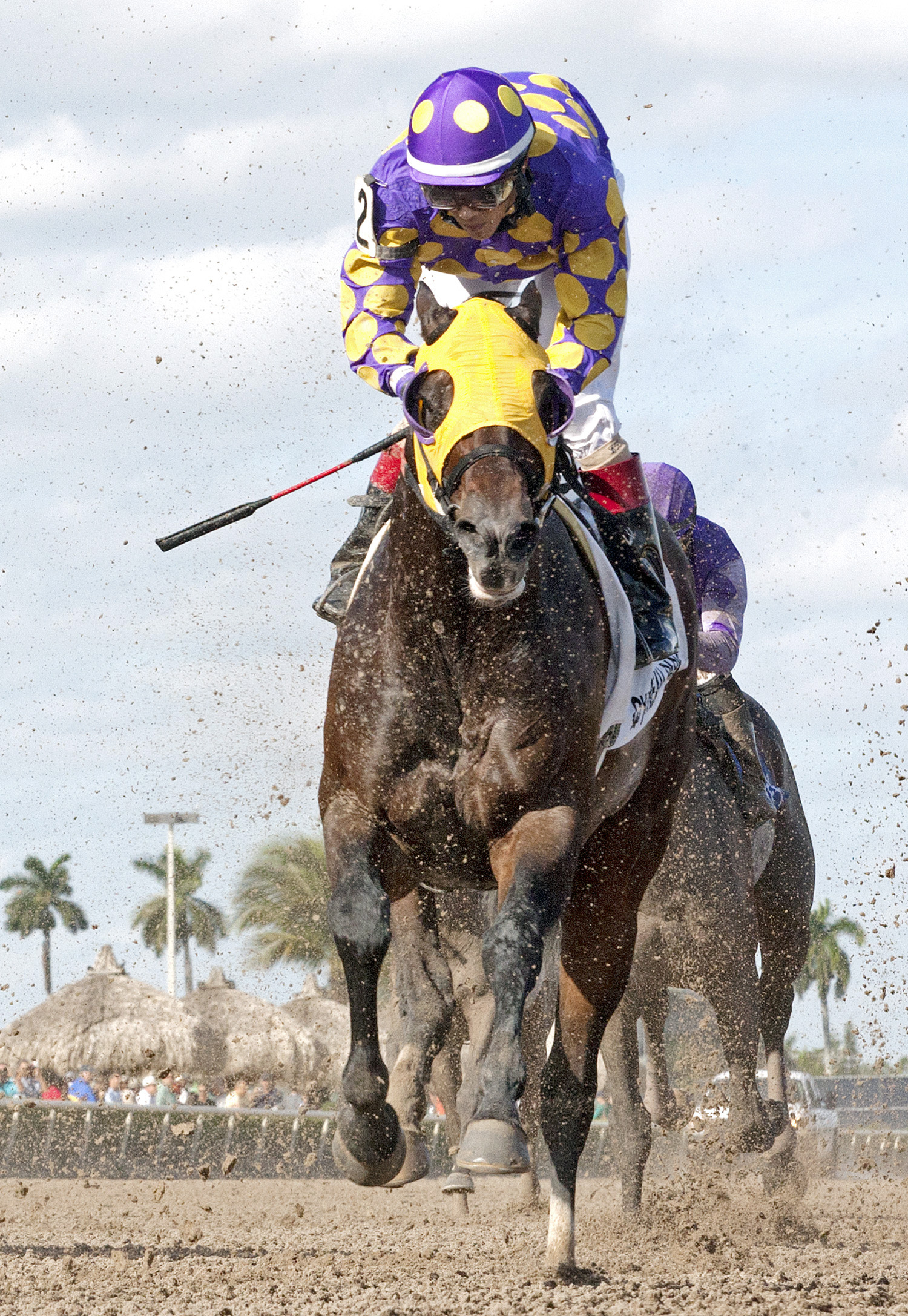 Grande Shores finishes second in the Florida Sunshine Millions Sprint Stakes