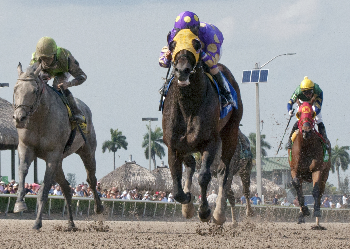 Grande Shores wins the Sir Shackleton Stakes