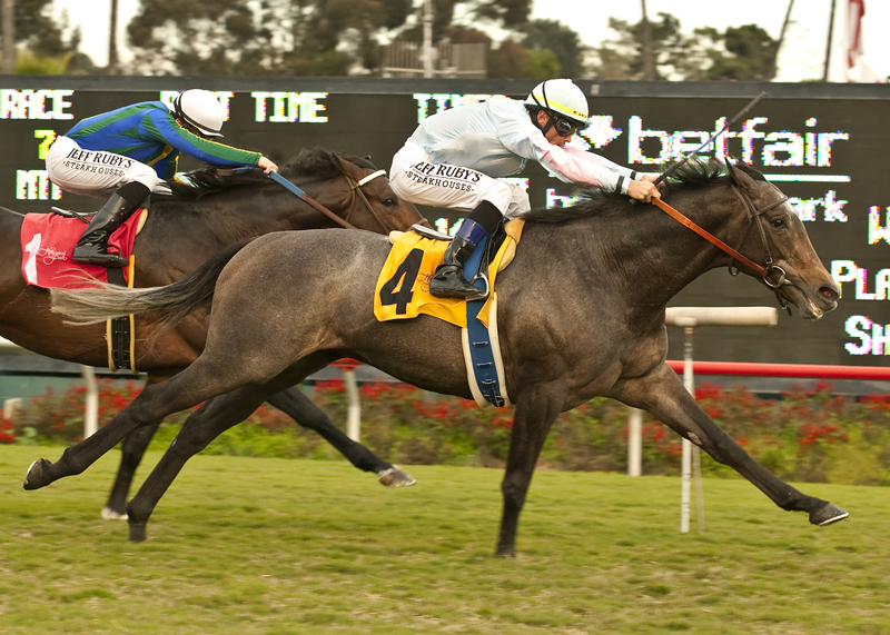 Grandeur 12-15-2012