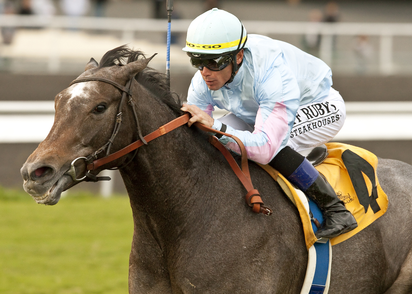 Grandeur, Hollywood Turf Cup