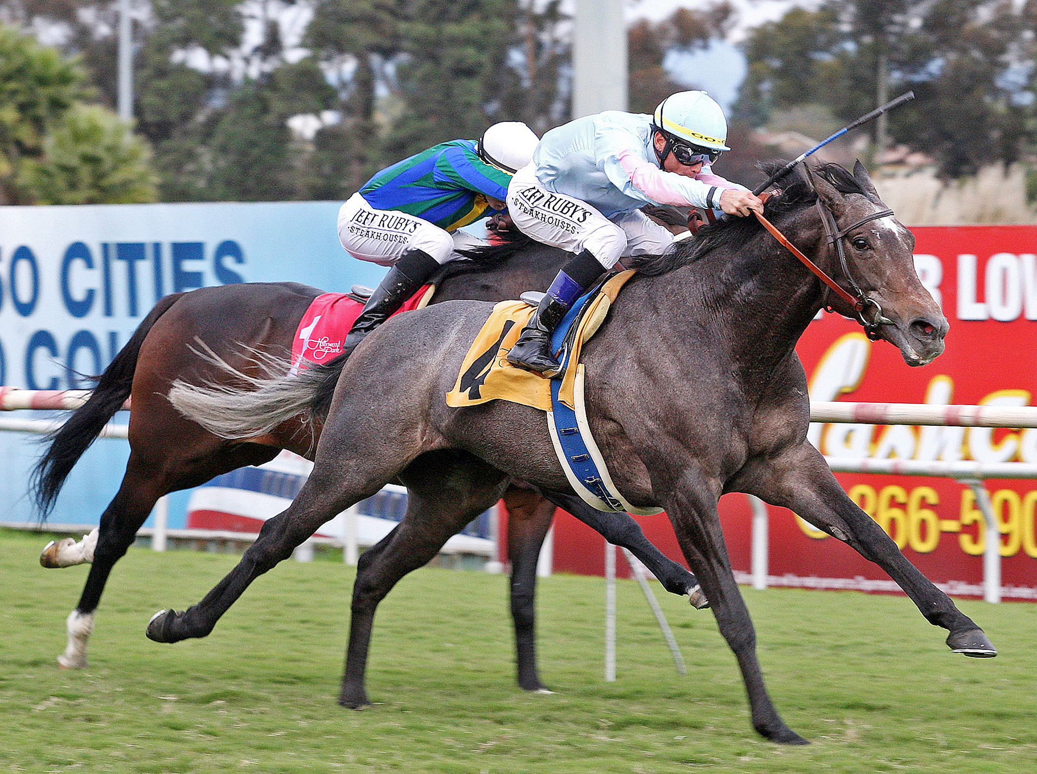 Grandeur wins the 2012 Hollywood Turf Cup
