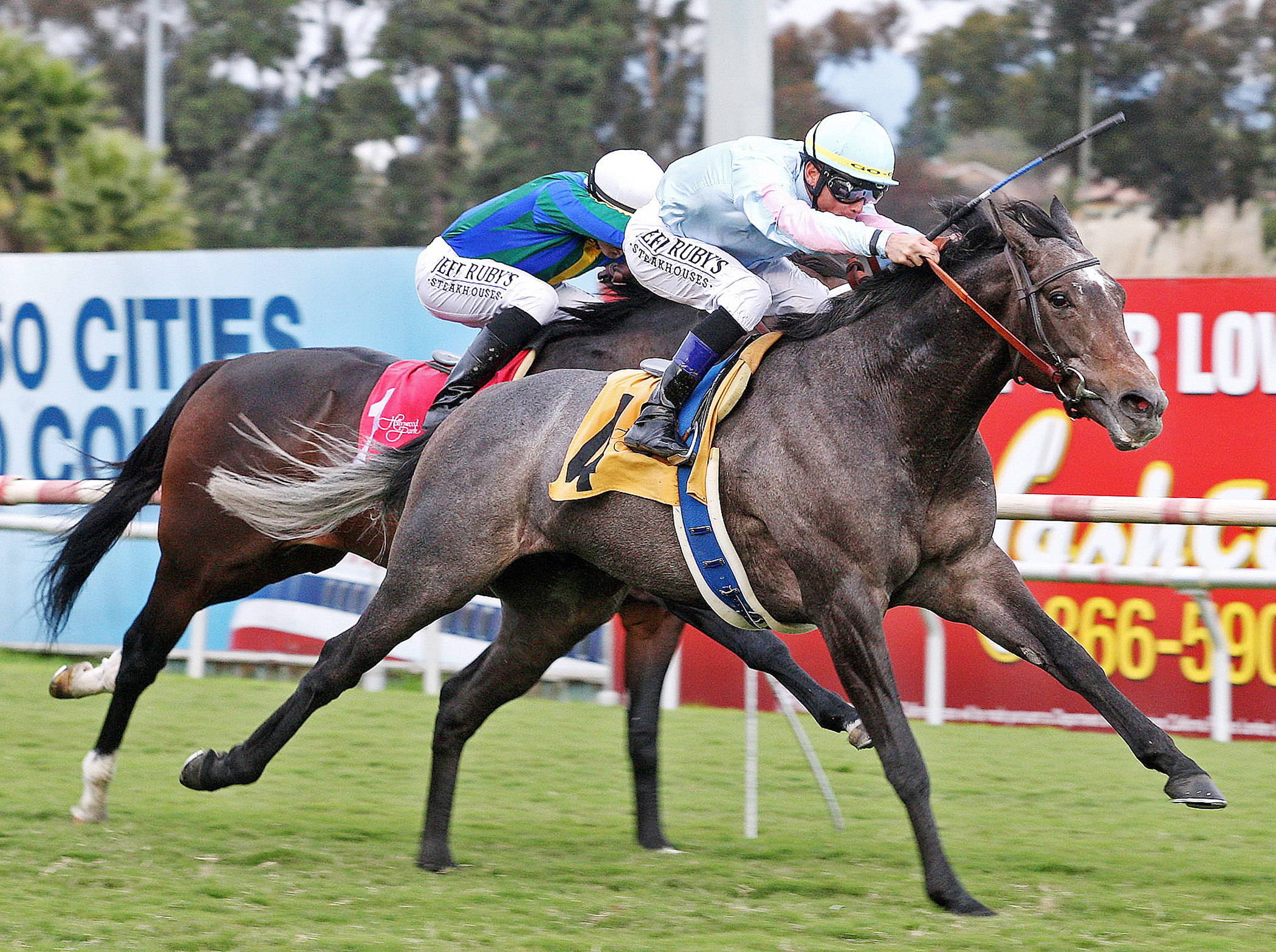 Grandeur wins the 2012 Hollywood Turf Cup