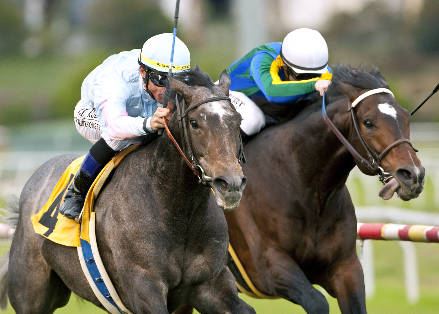 Grandeur wins the Hollywood Turf Cup