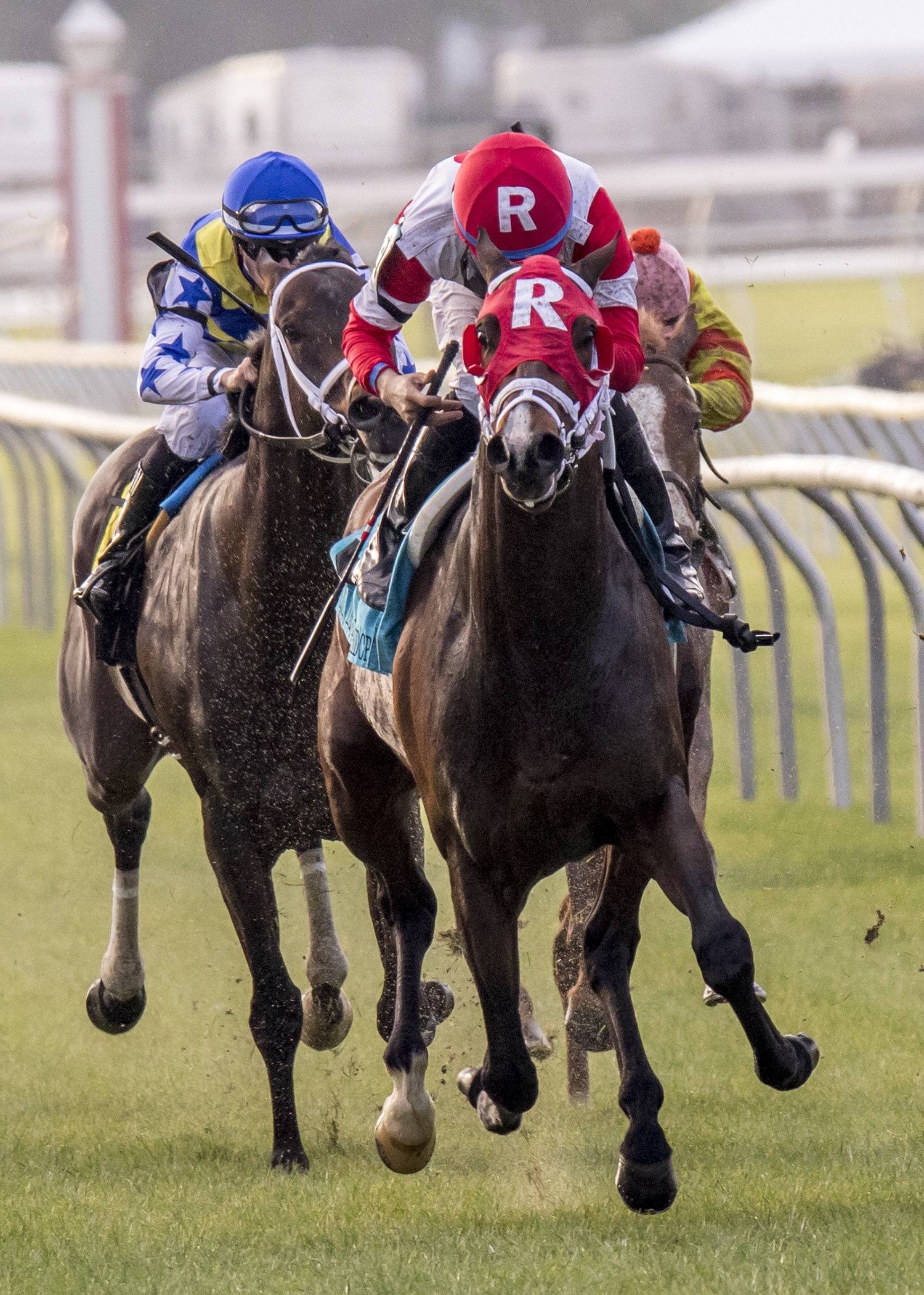 Granny's Kitten wins the Alphabet Soup Handicap