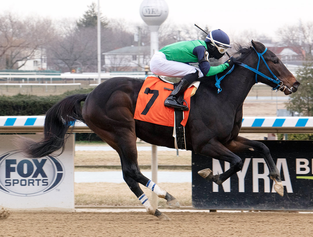 Grape Soda/Respect for All wins a Jan. 8 maiden race at Aqueduct