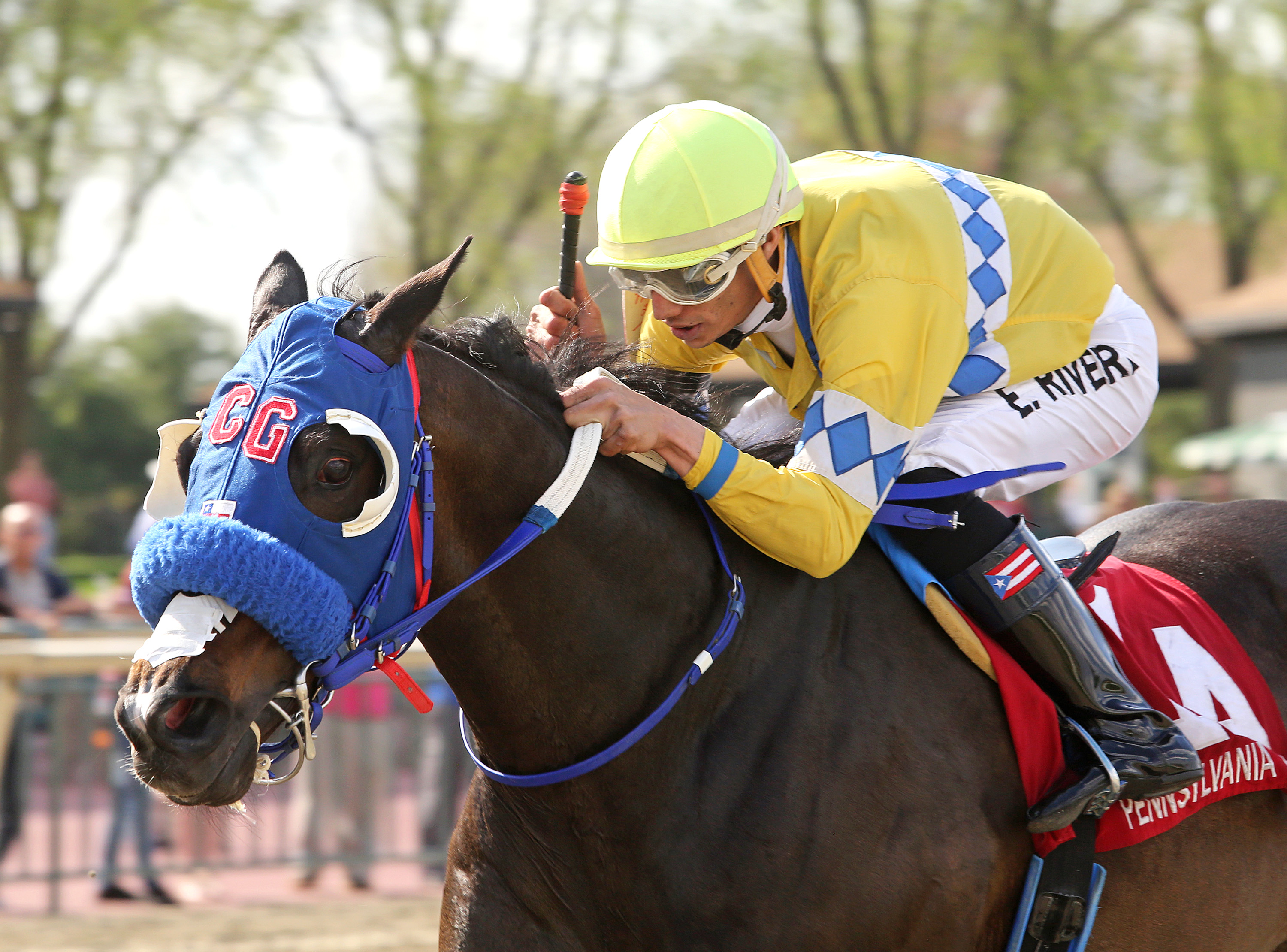 Grasshoppin wins the 2018 Lyman Stakes