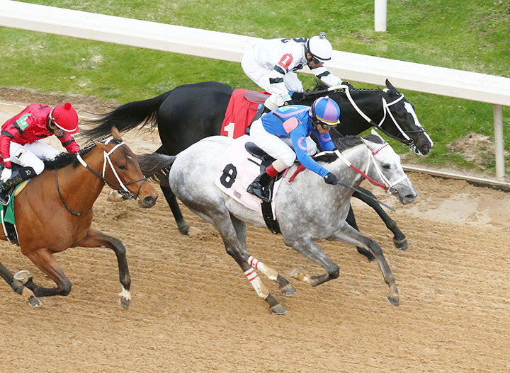 Gray Attempt wins the Smarty Jones Stakes