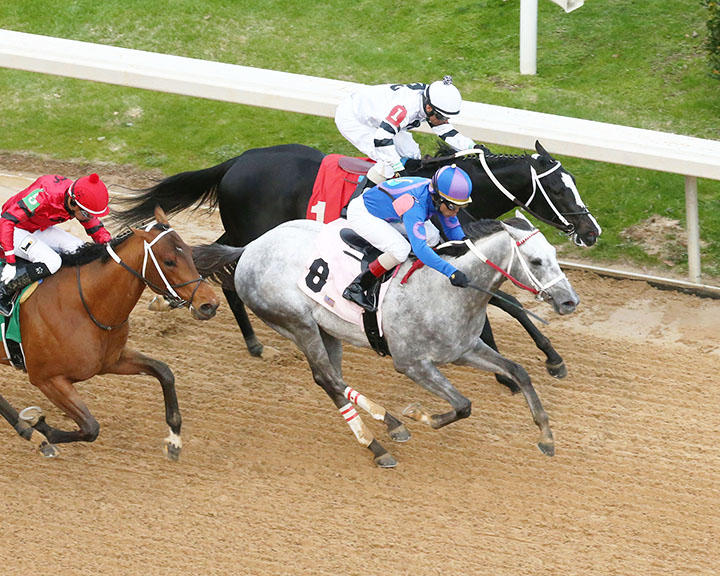 Gray Attempt wins the 2019 Smarty Jones Stakes