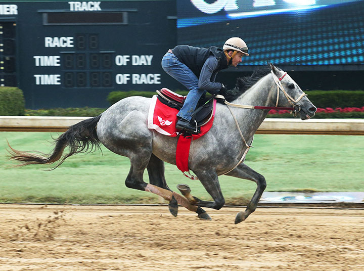 Gray Attempt trains at Oaklawn on Feb. 10
