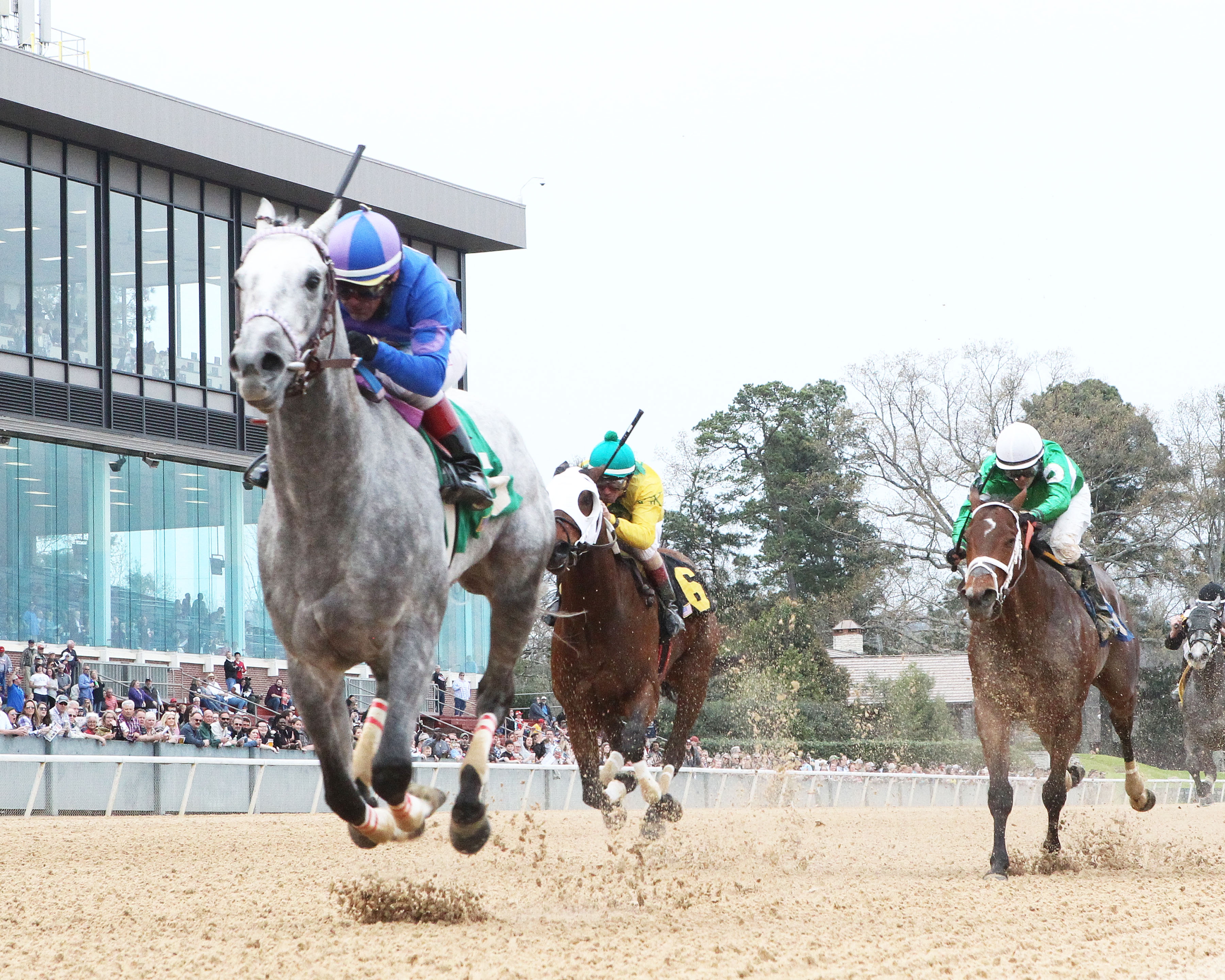 Gray Attempt wins the 2019 Gazebo Stakes