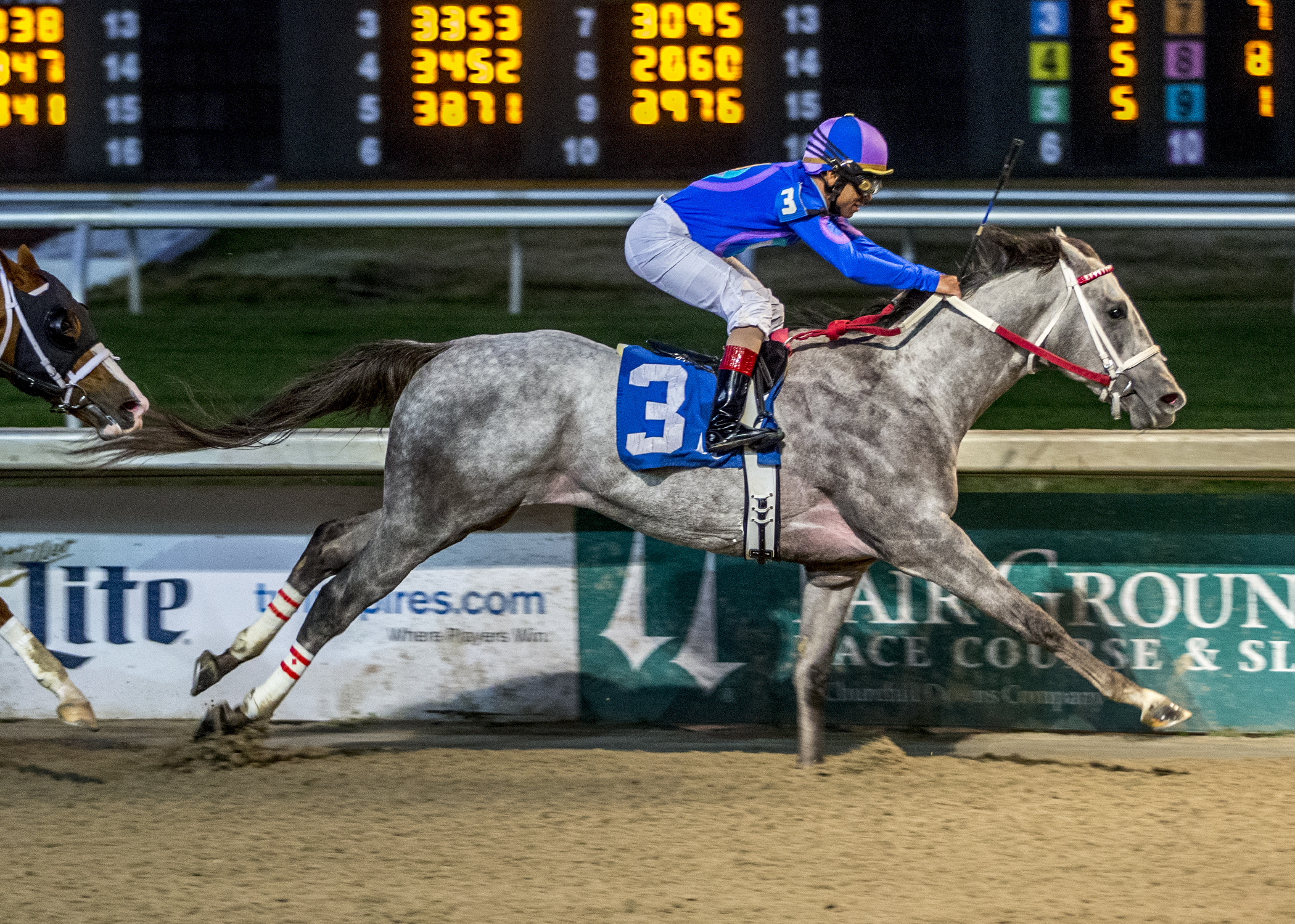 Gray Attempt wins 2018 Sugar Bowl Stakes