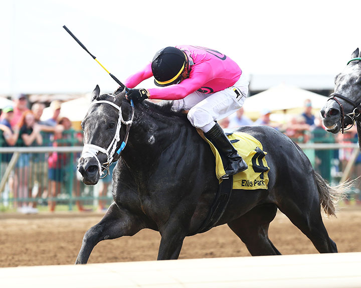 Gray Magician wins the 2019 Ellis Derby