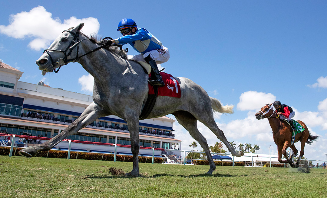 Gray's Fable wins the 2021 Appleton Stakes at Gulfstream Park